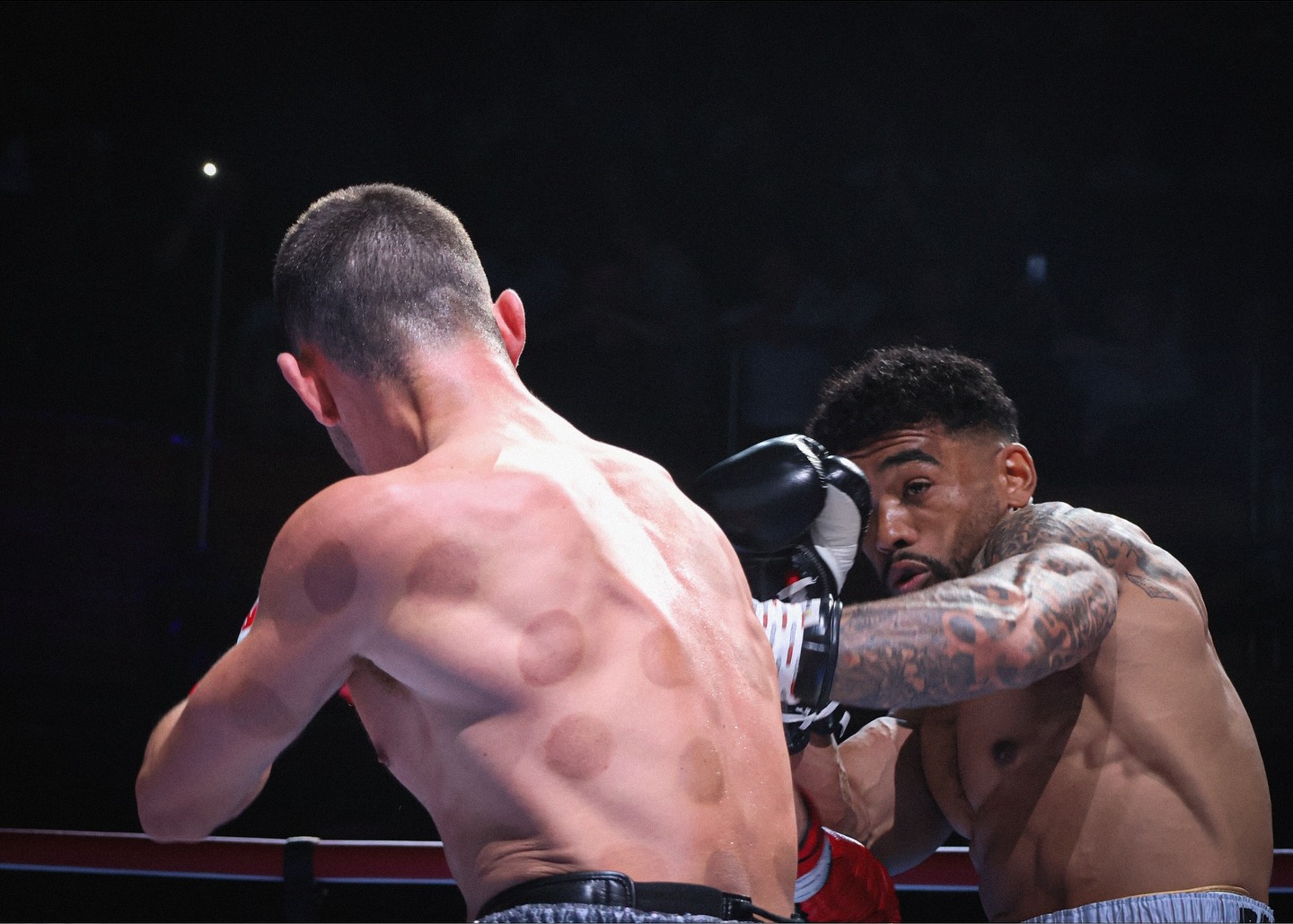 Championship boxing, up close.